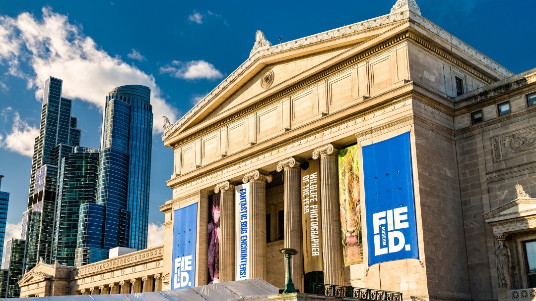 The field Museum